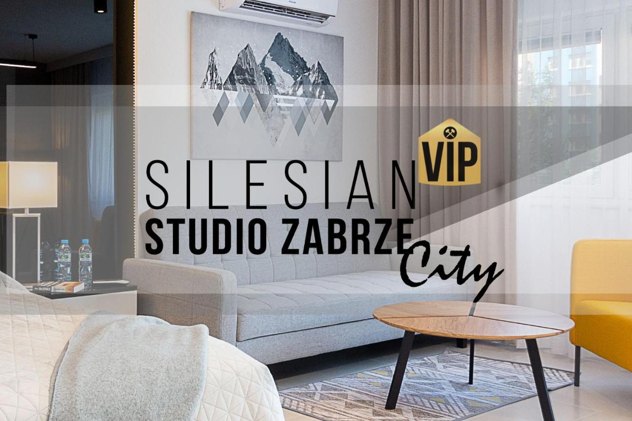 Studio Silesian Vip City Centrum Free Parking Zabrze Bagian luar foto